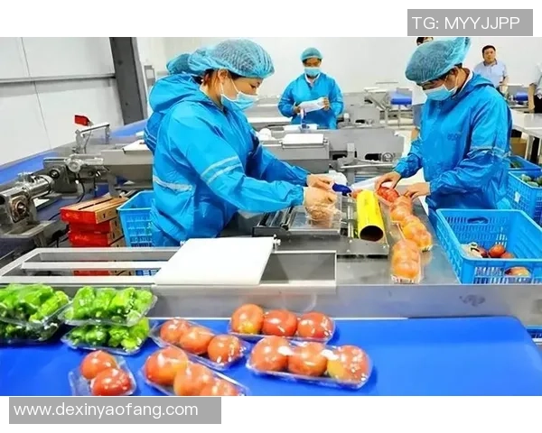 武汉羽毛球队运营革新探索：从传统到现代的转型之路