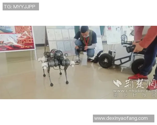 广州与武汉足球队赛后复盘速度对决分析与战术探讨